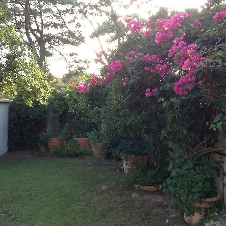 Deliziosa Villa 150 Metri Dal Mare Quartu SantʼElena Екстериор снимка